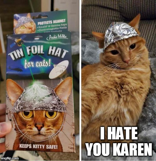 KEEP KITTY SAFE | I HATE YOU KAREN | image tagged in memes,cats,tin foil hat | made w/ Imgflip meme maker