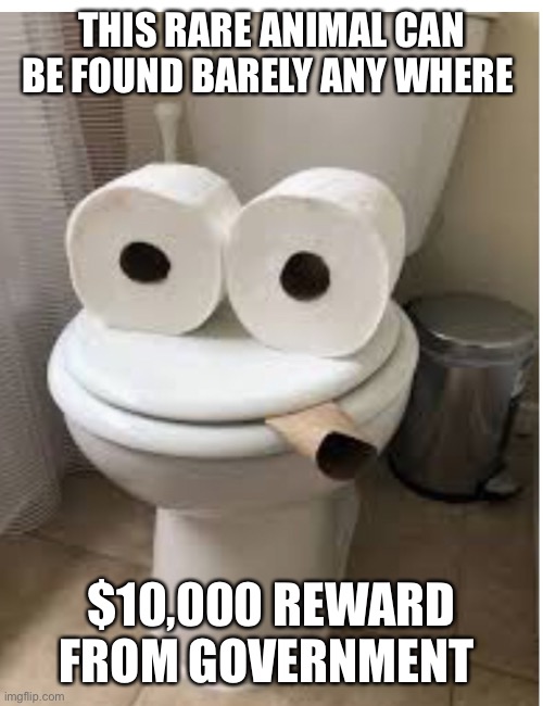 THIS RARE ANIMAL CAN BE FOUND BARELY ANY WHERE; $10,000 REWARD FROM GOVERNMENT | image tagged in meme | made w/ Imgflip meme maker