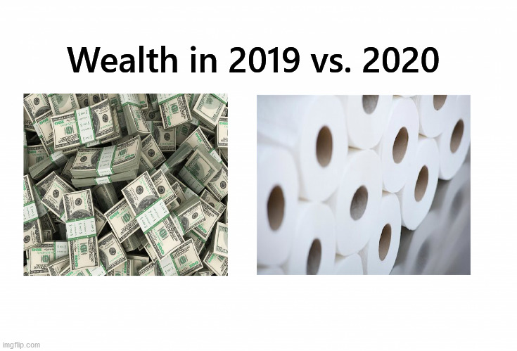 Wealth in 2019 vs. 2020 | image tagged in wealth,2019 vs 2020,toilet paper | made w/ Imgflip meme maker