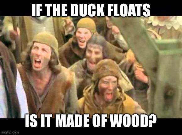 She's a witch! Burn her! Monty Python | IF THE DUCK FLOATS IS IT MADE OF WOOD? | image tagged in she's a witch burn her monty python | made w/ Imgflip meme maker