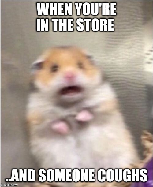 Scared Hamster | WHEN YOU'RE IN THE STORE; ..AND SOMEONE COUGHS | image tagged in scared hamster | made w/ Imgflip meme maker