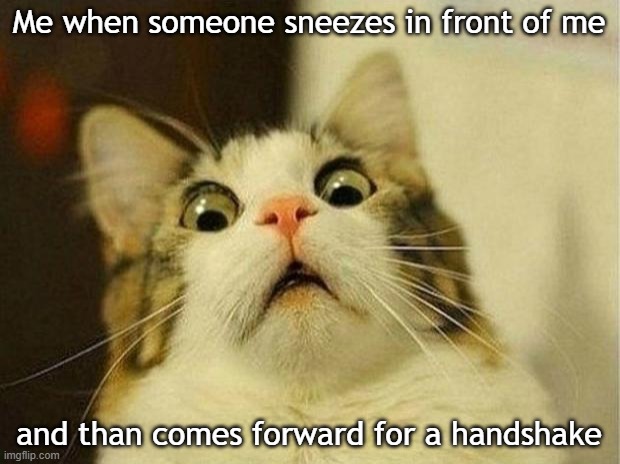 Scared Cat | Me when someone sneezes in front of me; and than comes forward for a handshake | image tagged in memes,scared cat | made w/ Imgflip meme maker
