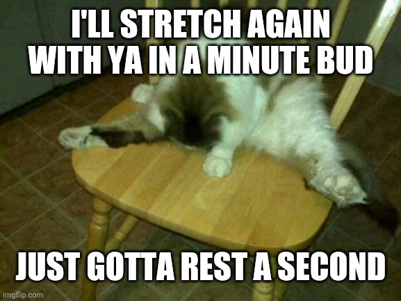 Matt Miller | I'LL STRETCH AGAIN WITH YA IN A MINUTE BUD; JUST GOTTA REST A SECOND | image tagged in matt miller | made w/ Imgflip meme maker