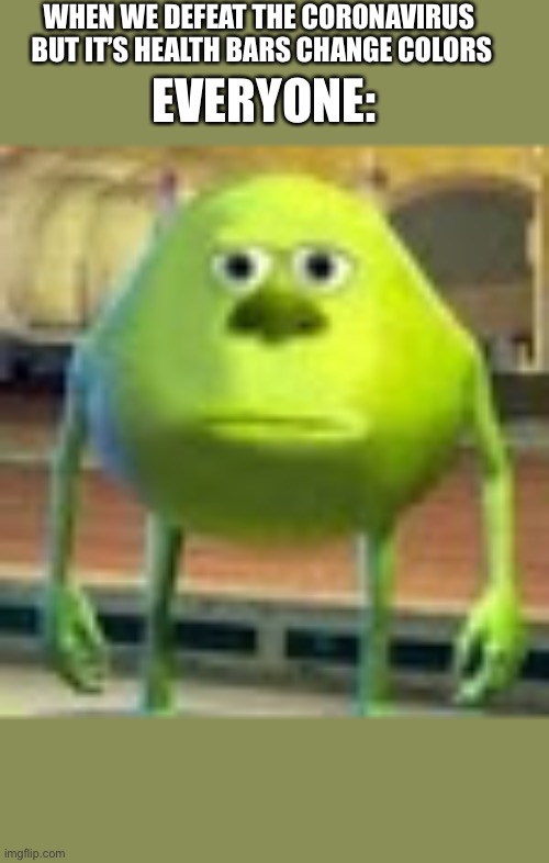 Sully Wazowski | WHEN WE DEFEAT THE CORONAVIRUS 
BUT IT’S HEALTH BARS CHANGE COLORS; EVERYONE: | image tagged in sully wazowski | made w/ Imgflip meme maker