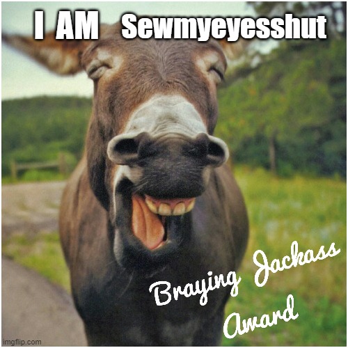 I  AM Sewmyeyesshut | made w/ Imgflip meme maker