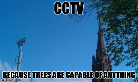 image tagged in funny,tree | made w/ Imgflip meme maker