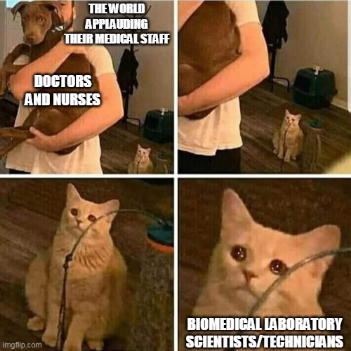 Sad Cat Holding Dog | THE WORLD APPLAUDING THEIR MEDICAL STAFF; DOCTORS AND NURSES; BIOMEDICAL LABORATORY SCIENTISTS/TECHNICIANS | image tagged in sad cat holding dog | made w/ Imgflip meme maker