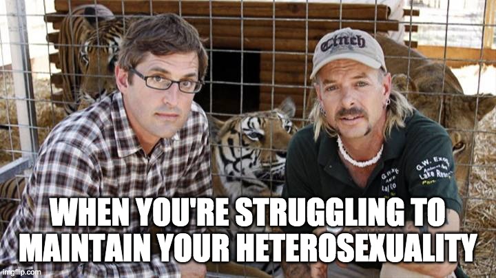 WHEN YOU'RE STRUGGLING TO MAINTAIN YOUR HETEROSEXUALITY | image tagged in tiger king | made w/ Imgflip meme maker