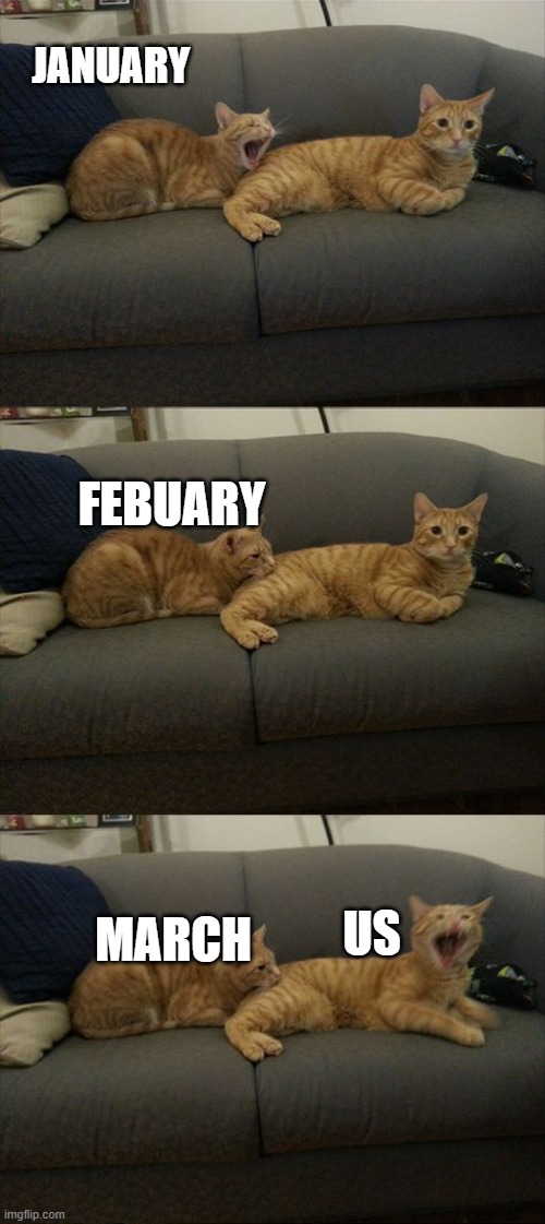 Just think about it | JANUARY; FEBUARY; US; MARCH | image tagged in cat bites the other cat | made w/ Imgflip meme maker