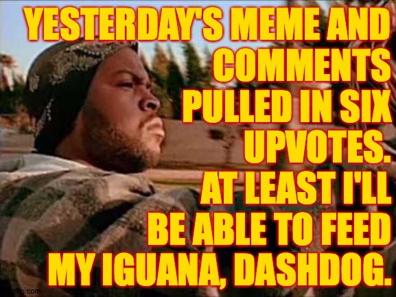 Yesterday Was A Good Day | YESTERDAY'S MEME AND
COMMENTS
PULLED IN SIX
UPVOTES. AT LEAST I'LL BE ABLE TO FEED MY IGUANA, DASHDOG. | image tagged in memes,today was a good day,upvotes,yesterday | made w/ Imgflip meme maker