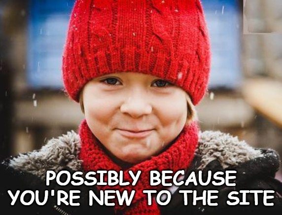 smirk | POSSIBLY BECAUSE YOU'RE NEW TO THE SITE | image tagged in smirk | made w/ Imgflip meme maker