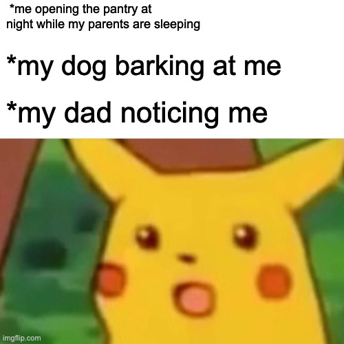 Surprised Pikachu Meme | *me opening the pantry at night while my parents are sleeping; *my dog barking at me; *my dad noticing me | image tagged in memes,surprised pikachu | made w/ Imgflip meme maker