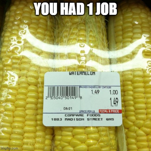 lol | YOU HAD 1 JOB | image tagged in you had one job,memes | made w/ Imgflip meme maker