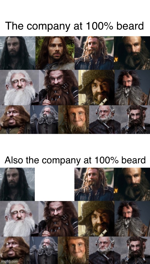 This took me so long to make. | The company at 100% beard; Also the company at 100% beard | image tagged in the hobbit,dwarves,thorin,memes,funny,lol | made w/ Imgflip meme maker