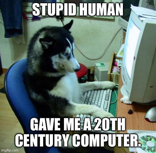 I Have No Idea What I Am Doing | STUPID HUMAN; GAVE ME A 20TH CENTURY COMPUTER. | image tagged in memes,i have no idea what i am doing | made w/ Imgflip meme maker