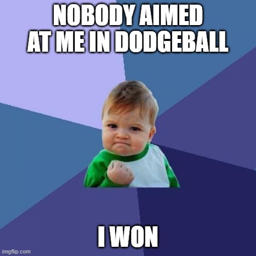 Success Kid Meme | NOBODY AIMED AT ME IN DODGEBALL; I WON | image tagged in memes,success kid | made w/ Imgflip meme maker