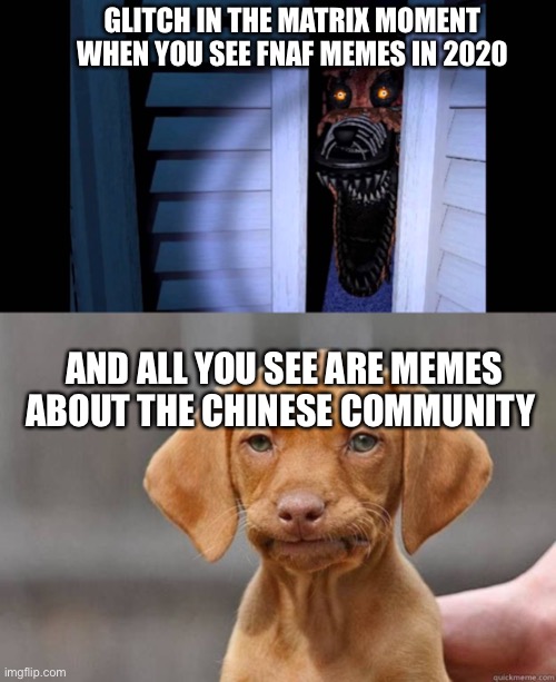 GLITCH IN THE MATRIX MOMENT WHEN YOU SEE FNAF MEMES IN 2020; AND ALL YOU SEE ARE MEMES ABOUT THE CHINESE COMMUNITY | image tagged in disapointed dog,foxy fnaf 4 | made w/ Imgflip meme maker