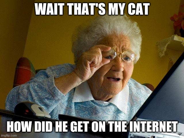 Grandma Finds The Internet Meme | WAIT THAT'S MY CAT; HOW DID HE GET ON THE INTERNET | image tagged in memes,grandma finds the internet | made w/ Imgflip meme maker