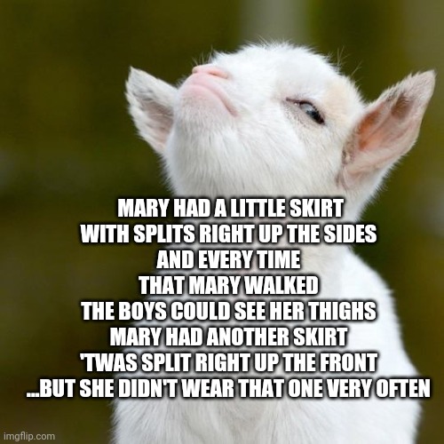 MARY HAD A LITTLE SKIRT
WITH SPLITS RIGHT UP THE SIDES
AND EVERY TIME THAT MARY WALKED
THE BOYS COULD SEE HER THIGHS
MARY HAD ANOTHER SKIRT
'TWAS SPLIT RIGHT UP THE FRONT
...BUT SHE DIDN'T WEAR THAT ONE VERY OFTEN | image tagged in suspicious lamb | made w/ Imgflip meme maker