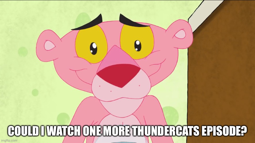 Pink Panther Begs For More ThunderCats |  COULD I WATCH ONE MORE THUNDERCATS EPISODE? | image tagged in cute face pink panther,thundercats | made w/ Imgflip meme maker