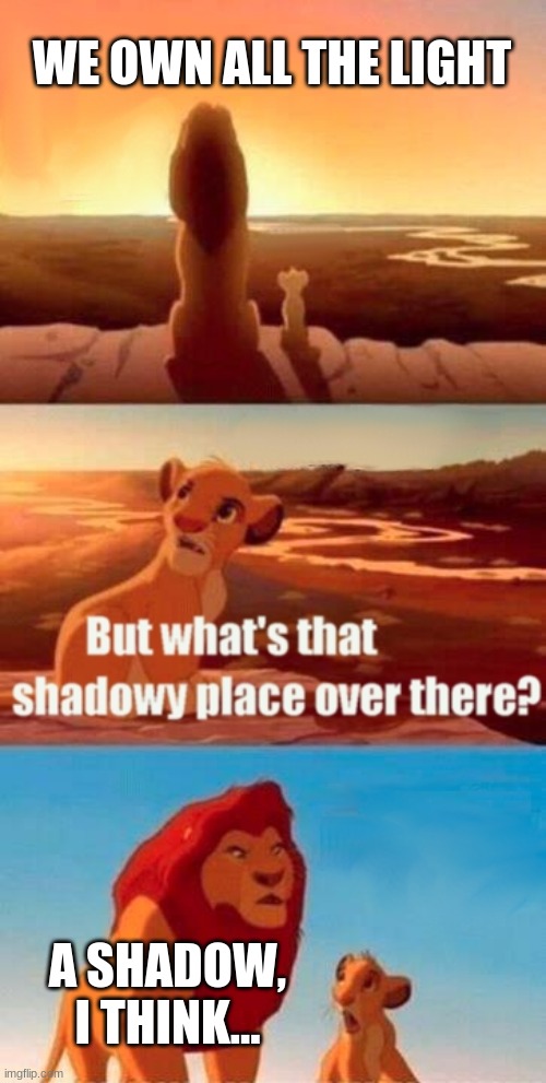 Simba Shadowy Place | WE OWN ALL THE LIGHT; A SHADOW, I THINK... | image tagged in memes,simba shadowy place | made w/ Imgflip meme maker