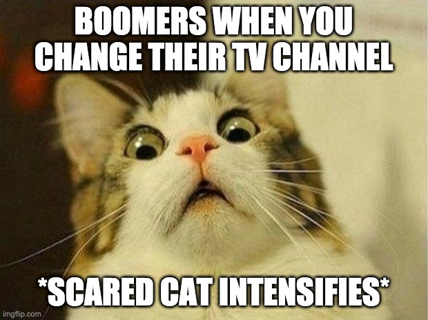 Scared Cat Meme | BOOMERS WHEN YOU CHANGE THEIR TV CHANNEL; *SCARED CAT INTENSIFIES* | image tagged in memes,scared cat | made w/ Imgflip meme maker