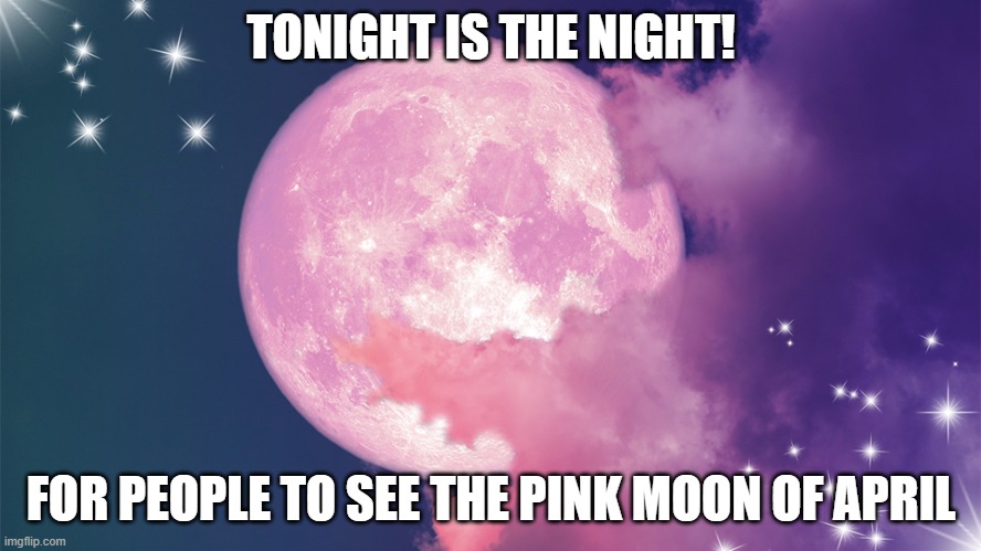 Moon is cool | TONIGHT IS THE NIGHT! FOR PEOPLE TO SEE THE PINK MOON OF APRIL | image tagged in supermoon | made w/ Imgflip meme maker