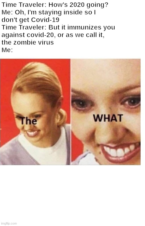 Time Traveler: How's 2020 going?
Me: Oh, I'm staying inside so I  
don't get Covid-19
Time Traveler: But it immunizes you
against covid-20, or as we call it,
the zombie virus
Me: | image tagged in covid-19,time travel,the what | made w/ Imgflip meme maker