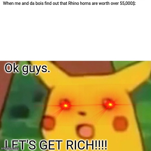 Rhino hunters. | When me and da bois find out that Rhino horns are worth over 55,000$:; Ok guys. LET'S GET RICH!!!! | image tagged in memes,surprised pikachu | made w/ Imgflip meme maker