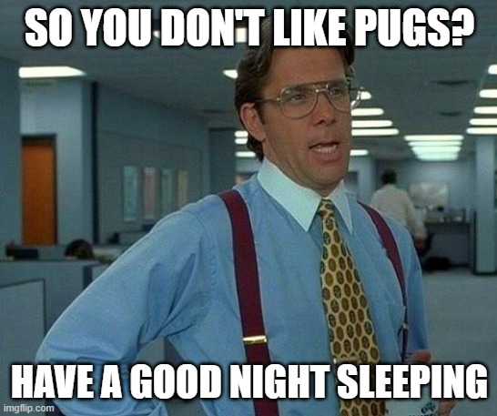 pugs are the best | SO YOU DON'T LIKE PUGS? HAVE A GOOD NIGHT SLEEPING | image tagged in memes,that would be great,pugs,pug,good night,i will find you and kill you | made w/ Imgflip meme maker