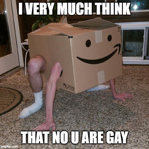 You tell himhe is gay and that smile will be gone | I VERY MUCH THINK; THAT NO U ARE GAY | image tagged in amazon | made w/ Imgflip meme maker