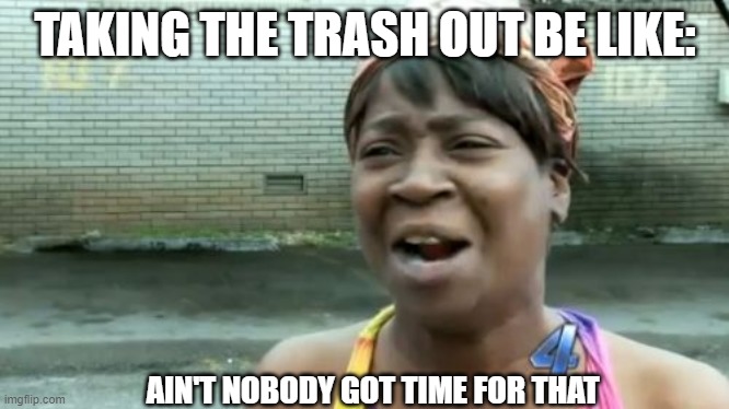 Ain't Nobody Got Time For That Meme | TAKING THE TRASH OUT BE LIKE:; AIN'T NOBODY GOT TIME FOR THAT | image tagged in memes,ain't nobody got time for that | made w/ Imgflip meme maker