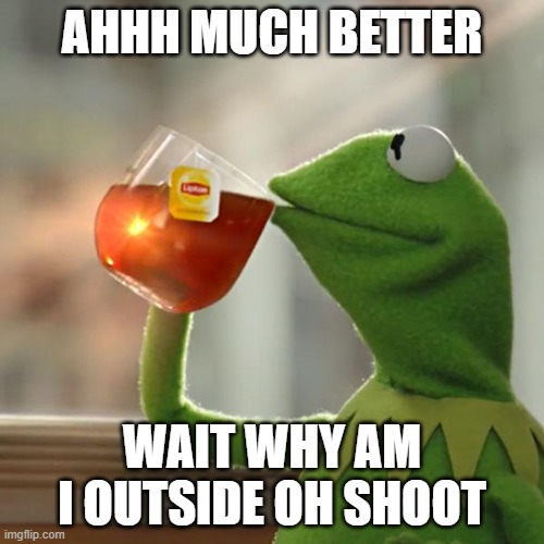 But That's None Of My Business | AHHH MUCH BETTER; WAIT WHY AM I OUTSIDE OH SHOOT | image tagged in memes,but that's none of my business,kermit the frog | made w/ Imgflip meme maker