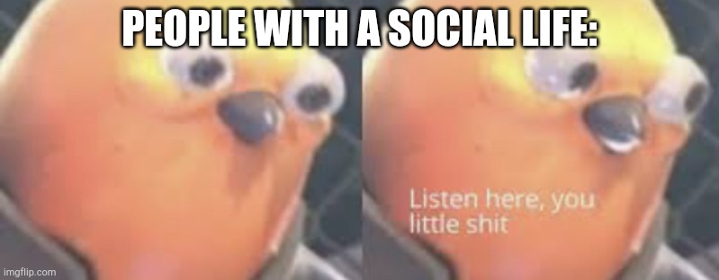 Listen here you little shit bird | PEOPLE WITH A SOCIAL LIFE: | image tagged in listen here you little shit bird | made w/ Imgflip meme maker