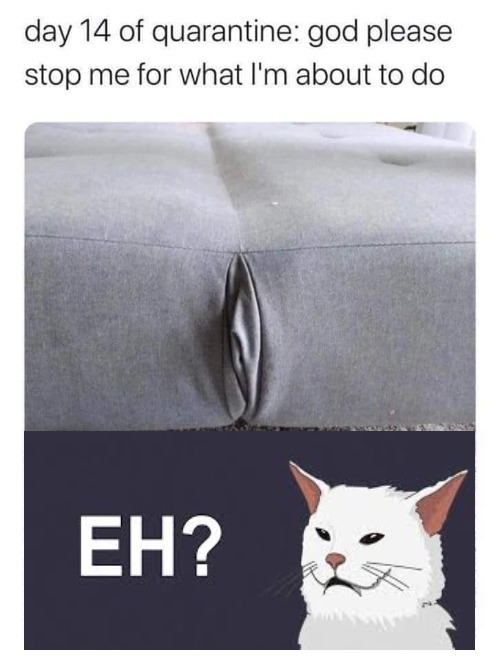 Smudge day 14 of quarantine | image tagged in smudge the cat,omg karen,smudge,woman yelling at cat,smudge memes,dumb blonde jokes | made w/ Imgflip meme maker