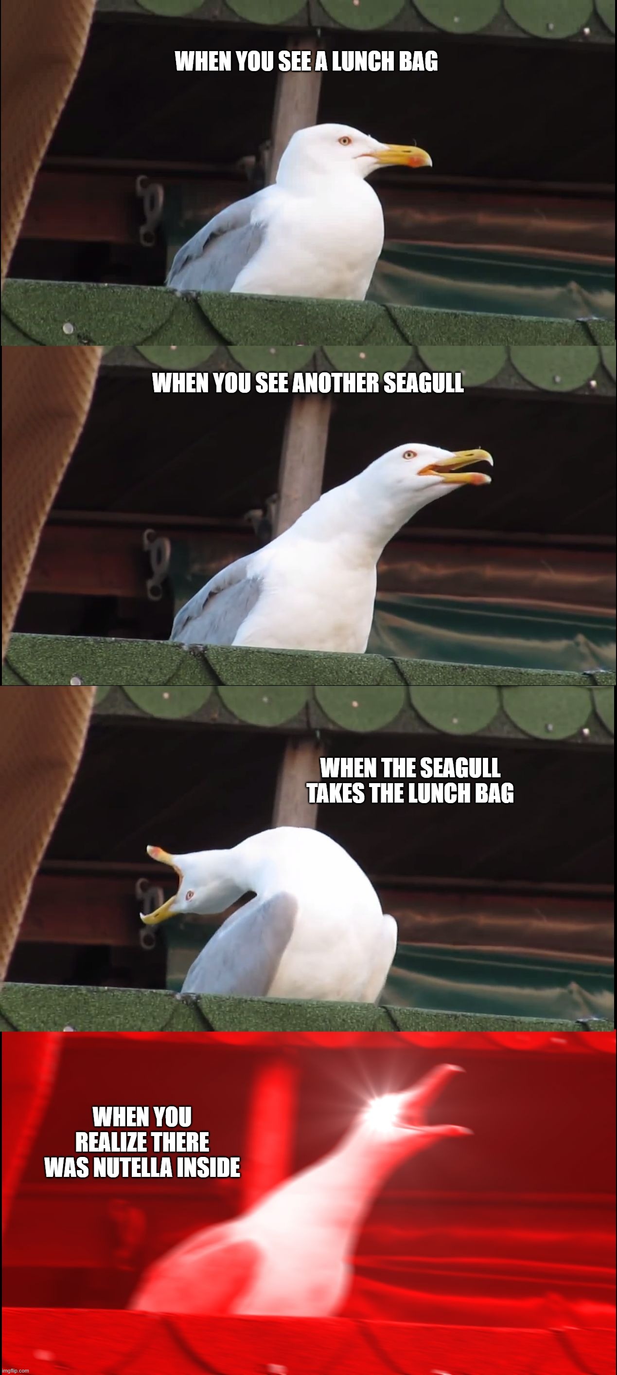 seagull and the lunchbag | WHEN YOU SEE A LUNCH BAG; WHEN YOU SEE ANOTHER SEAGULL; WHEN THE SEAGULL TAKES THE LUNCH BAG; WHEN YOU REALIZE THERE WAS NUTELLA INSIDE | image tagged in memes,inhaling seagull | made w/ Imgflip meme maker