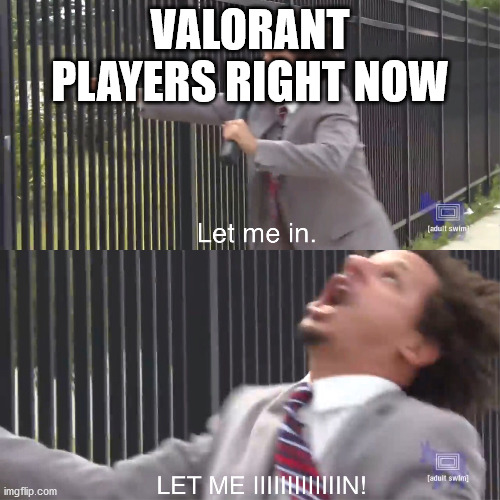 let me in | VALORANT PLAYERS RIGHT NOW | image tagged in let me in | made w/ Imgflip meme maker