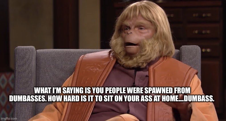 Dr. Zaius | WHAT I’M SAYING IS YOU PEOPLE WERE SPAWNED FROM DUMBASSES. HOW HARD IS IT TO SIT ON YOUR ASS AT HOME....DUMBASS. | image tagged in dr zaius | made w/ Imgflip meme maker