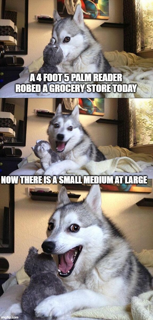 Bad Pun Dog | A 4 FOOT 5 PALM READER ROBED A GROCERY STORE TODAY; NOW THERE IS A SMALL MEDIUM AT LARGE | image tagged in memes,bad pun dog | made w/ Imgflip meme maker