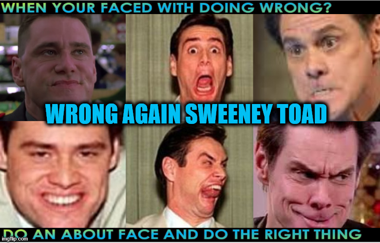 The Face You Make When Doin Wrong | WRONG AGAIN SWEENEY TOAD | image tagged in you're doing it wrong,wrong,wrong template,prove me wrong,that's where you're wrong kiddo,you're not just wrong your stupid | made w/ Imgflip meme maker