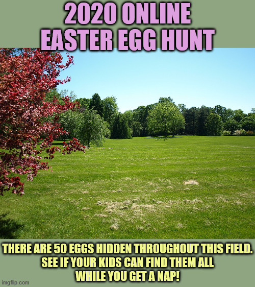 desperate times call for desperate measures... | 2020 ONLINE EASTER EGG HUNT; THERE ARE 50 EGGS HIDDEN THROUGHOUT THIS FIELD.
SEE IF YOUR KIDS CAN FIND THEM ALL
WHILE YOU GET A NAP! | image tagged in easter,easter eggs,quarantine,funny memes,holidays | made w/ Imgflip meme maker