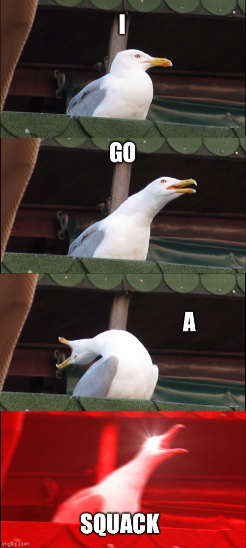 Inhaling Seagull | I; GO; A; SQUACK | image tagged in memes,inhaling seagull | made w/ Imgflip meme maker