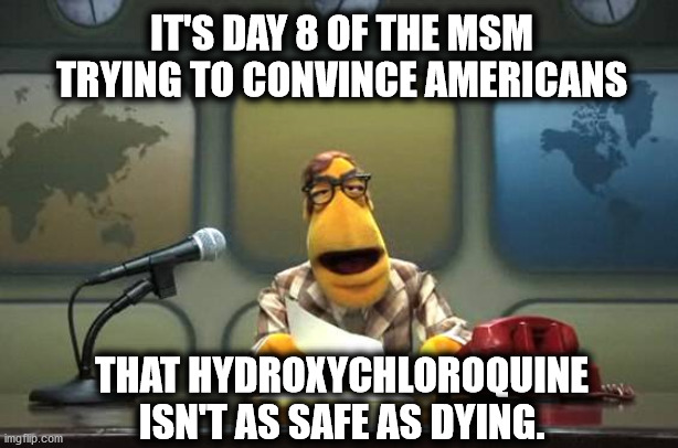 Muppet News Flash | IT'S DAY 8 OF THE MSM TRYING TO CONVINCE AMERICANS; THAT HYDROXYCHLOROQUINE ISN'T AS SAFE AS DYING. | image tagged in muppet news flash | made w/ Imgflip meme maker