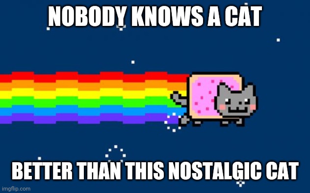 Nyan Cat | NOBODY KNOWS A CAT; BETTER THAN THIS NOSTALGIC CAT | image tagged in nyan cat | made w/ Imgflip meme maker