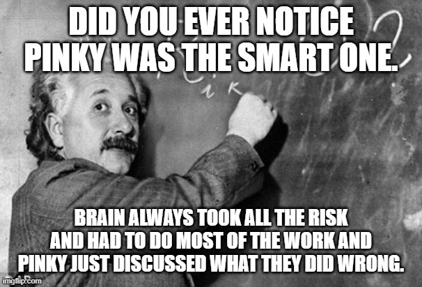 Smart | DID YOU EVER NOTICE PINKY WAS THE SMART ONE. BRAIN ALWAYS TOOK ALL THE RISK AND HAD TO DO MOST OF THE WORK AND PINKY JUST DISCUSSED WHAT THE | image tagged in smart | made w/ Imgflip meme maker
