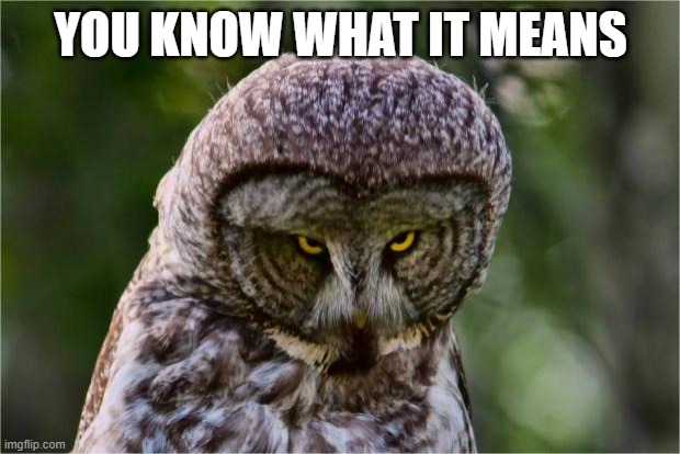 Seriously Owl | YOU KNOW WHAT IT MEANS | image tagged in seriously owl | made w/ Imgflip meme maker
