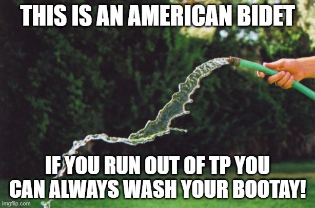 Garden Hose | THIS IS AN AMERICAN BIDET; IF YOU RUN OUT OF TP YOU CAN ALWAYS WASH YOUR BOOTAY! | image tagged in garden hose | made w/ Imgflip meme maker