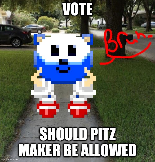 VOTE; SHOULD PITZ MAKER BE ALLOWED | made w/ Imgflip meme maker