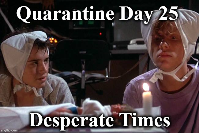 ws | Quarantine Day 25; Desperate Times | image tagged in ws | made w/ Imgflip meme maker