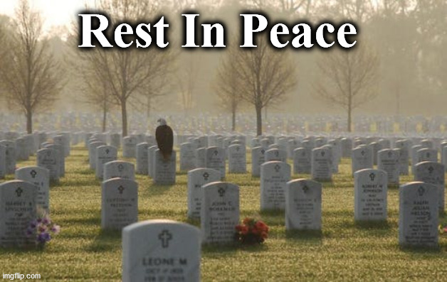 cemetary | Rest In Peace | image tagged in cemetary | made w/ Imgflip meme maker